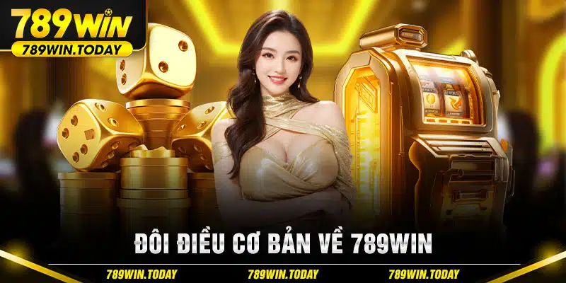 Đôi điều cơ bản về 789Win